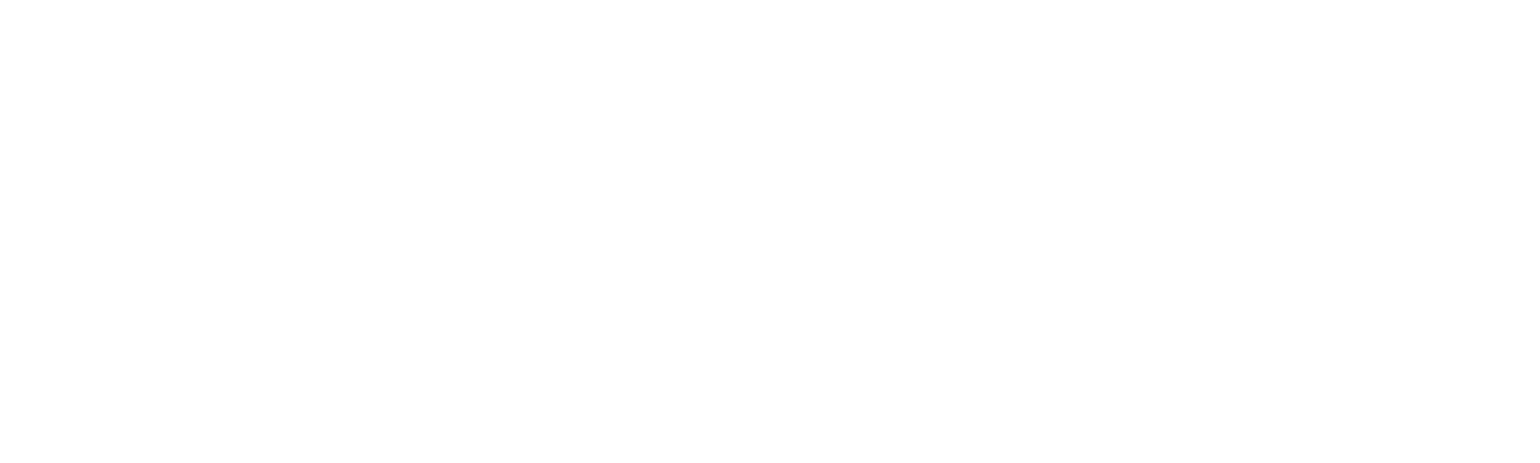 Logo Kreisstadt Neunkirchen