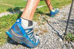 337208854e62879cea429ee9d11ed0ef_M