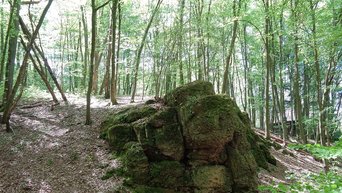 nord_zimmermannsfels_neunkirchen_saarland-4668881